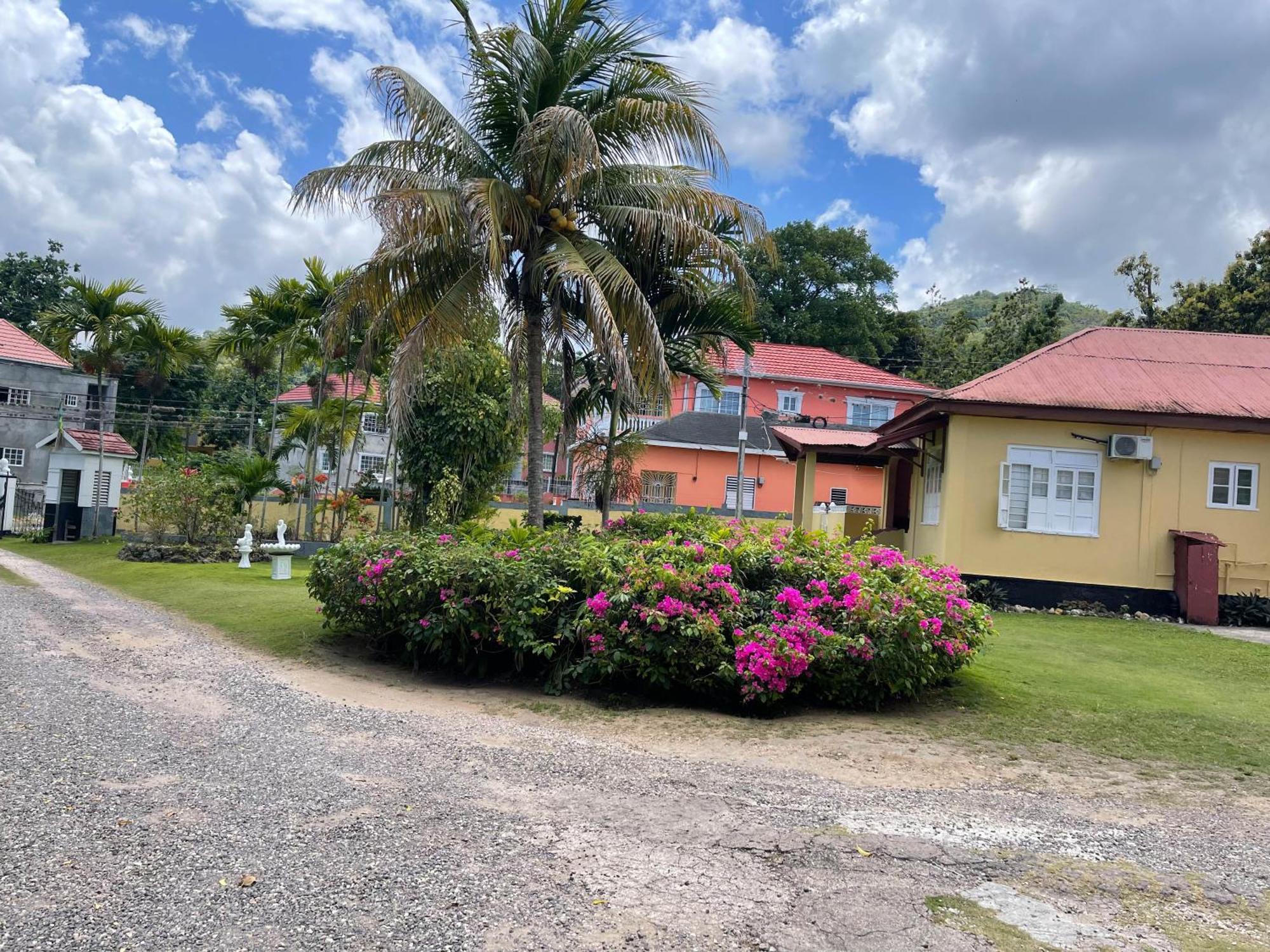 Little Shaw Park Guest House Ότσο Ρίος Εξωτερικό φωτογραφία