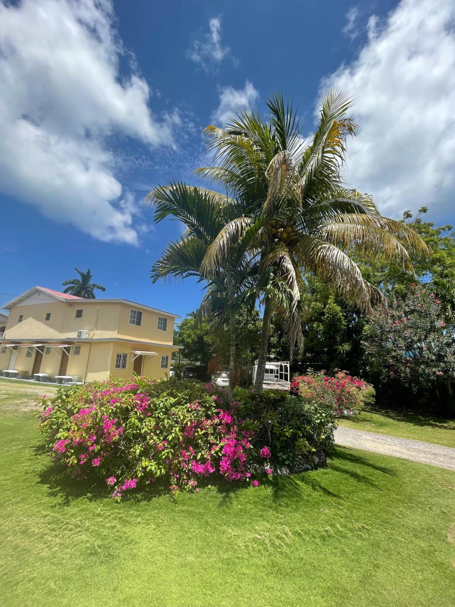 Little Shaw Park Guest House Ότσο Ρίος Εξωτερικό φωτογραφία